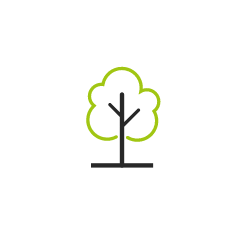 ikona drzewo - rozwój